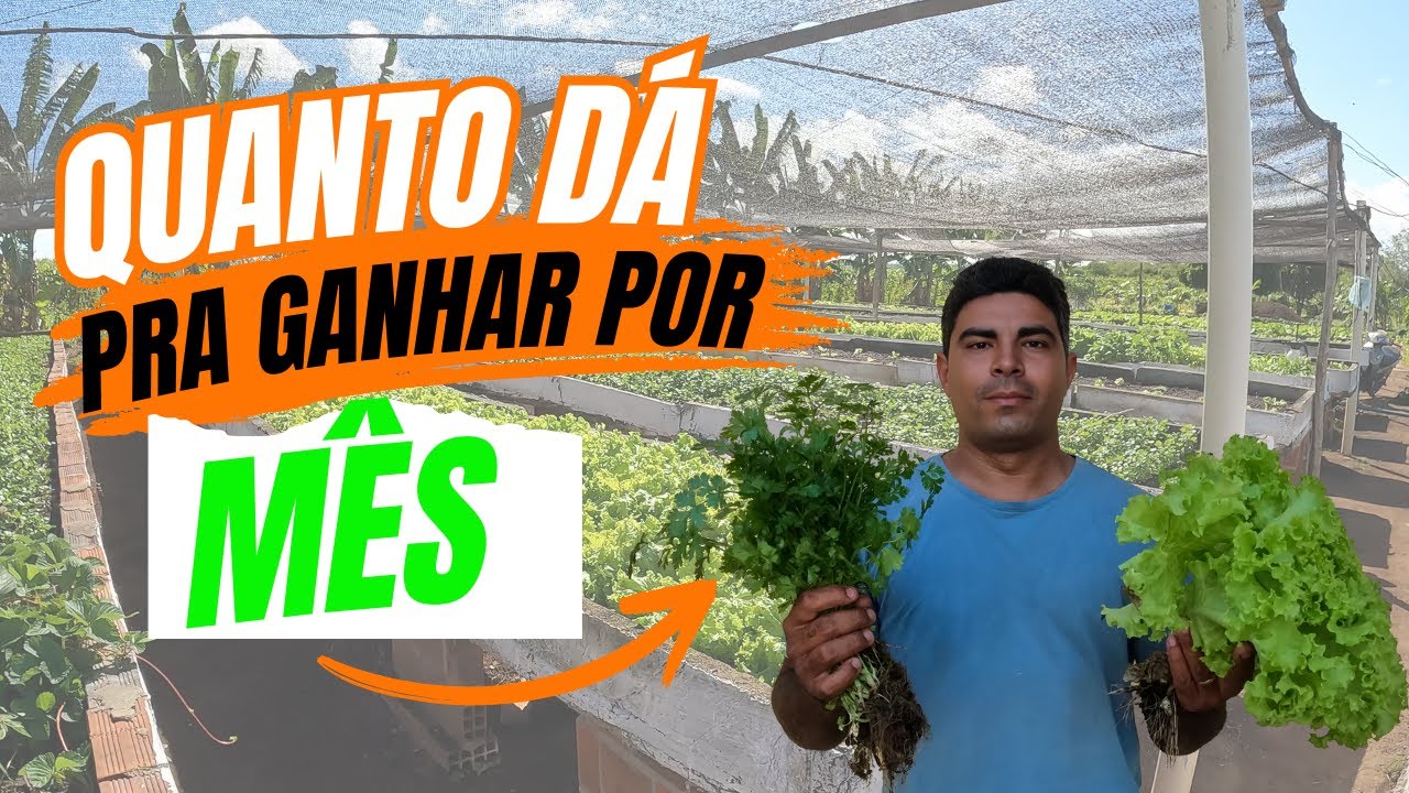 Veja quanto eu ganho com minha horta suspensa.#hortasuspensa
