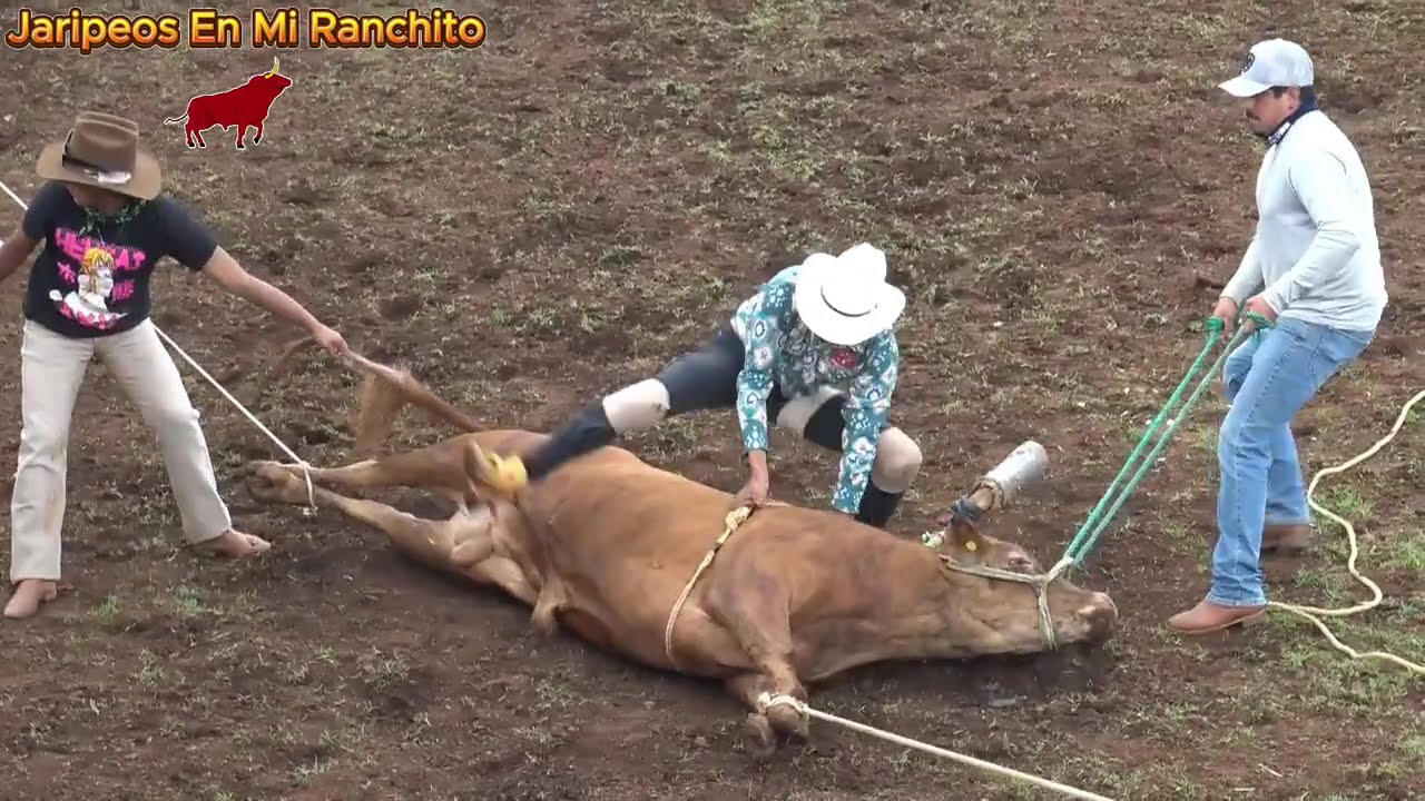 Jaripeo julio 12 2025