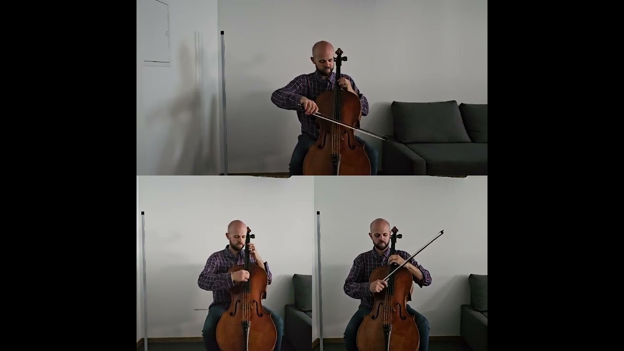 Band-Maid / Catharsis cello cover