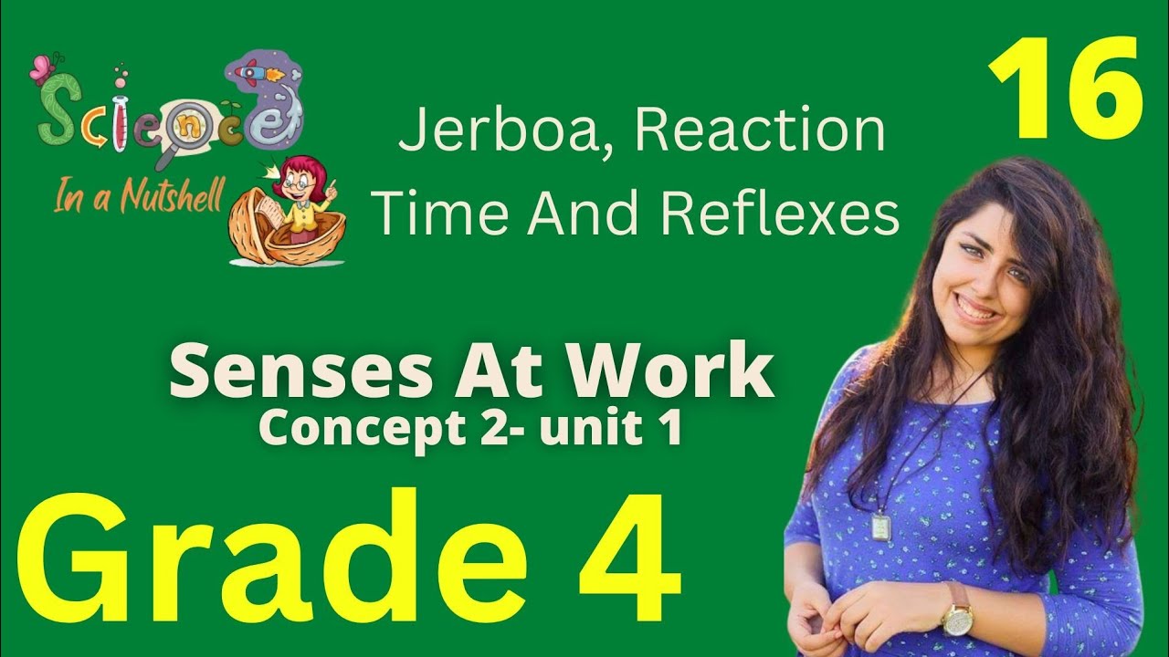 Science- Jerboa, Reaction Time and Reflexes - Concept 2 - Unit 1-Grade 4-video 16