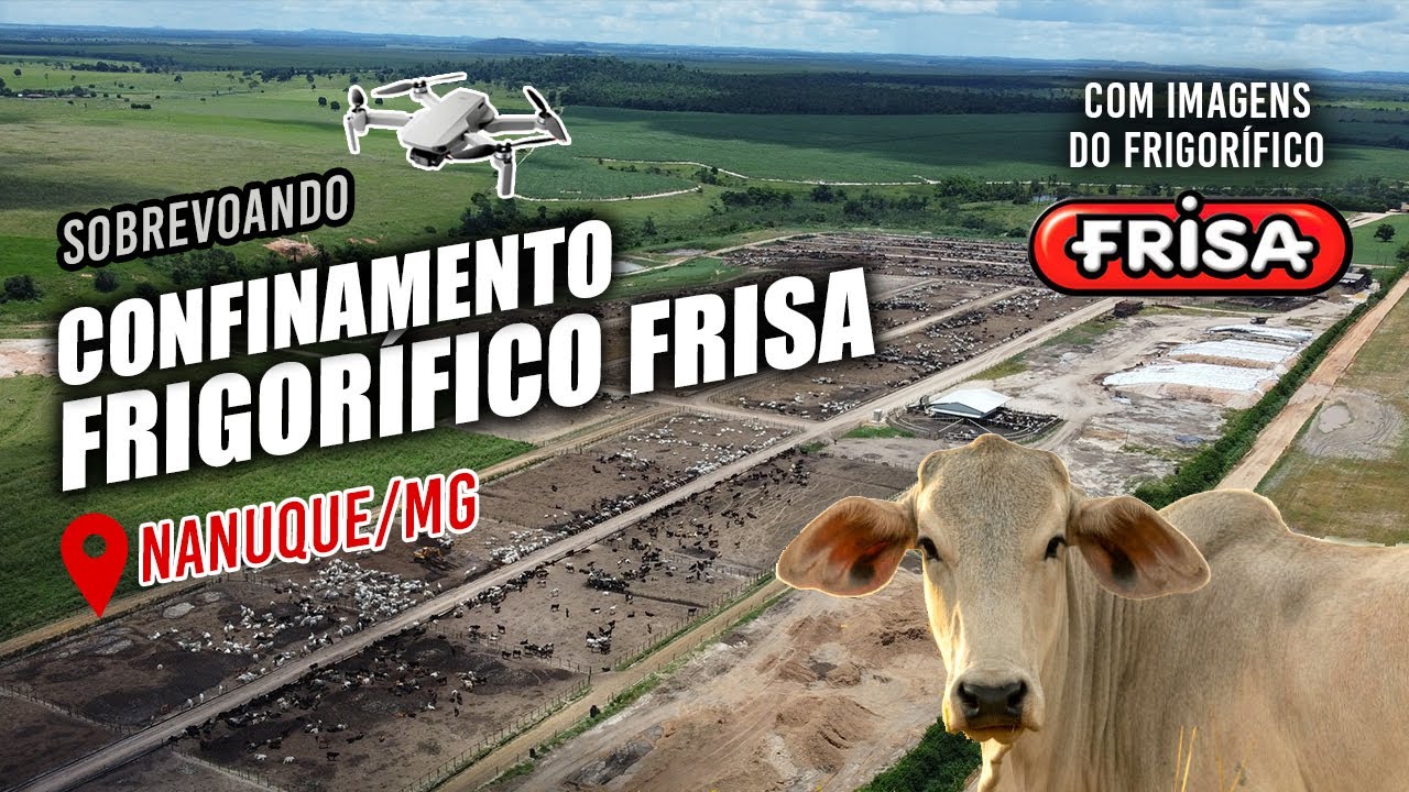 Frigorífico Frisa SA | Confinamento | Região de Nanuque/MG