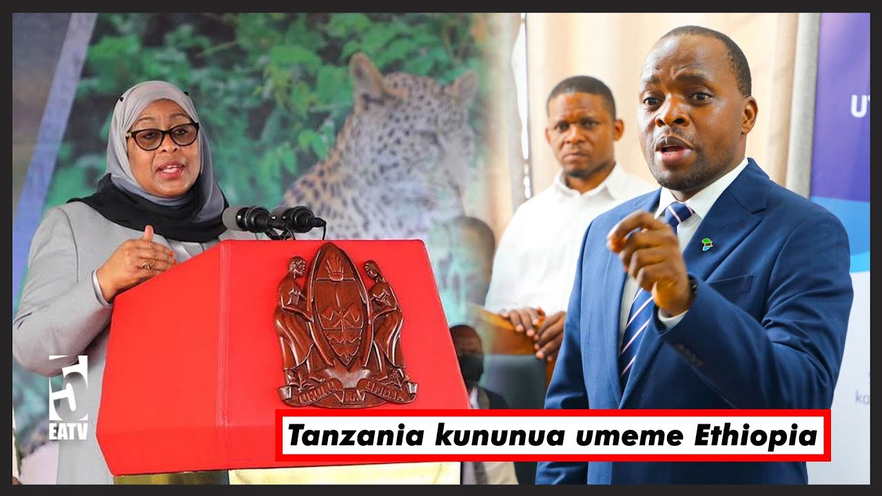 UKWELI NA UNDANI, TANZANIA KUNUNUA UMEME ETHIOPIA | MSIGWA AFUNGUKA A - Z, HESABU KALI ZIMEPIGWA