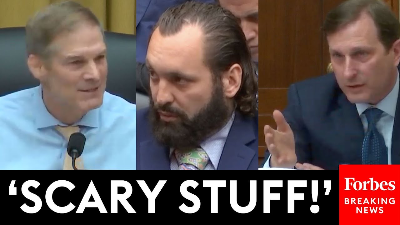 Dan Goldman Grills FBI Whistleblower, Then Jim Jordan Jumps In | Weaponization Committee Hearing