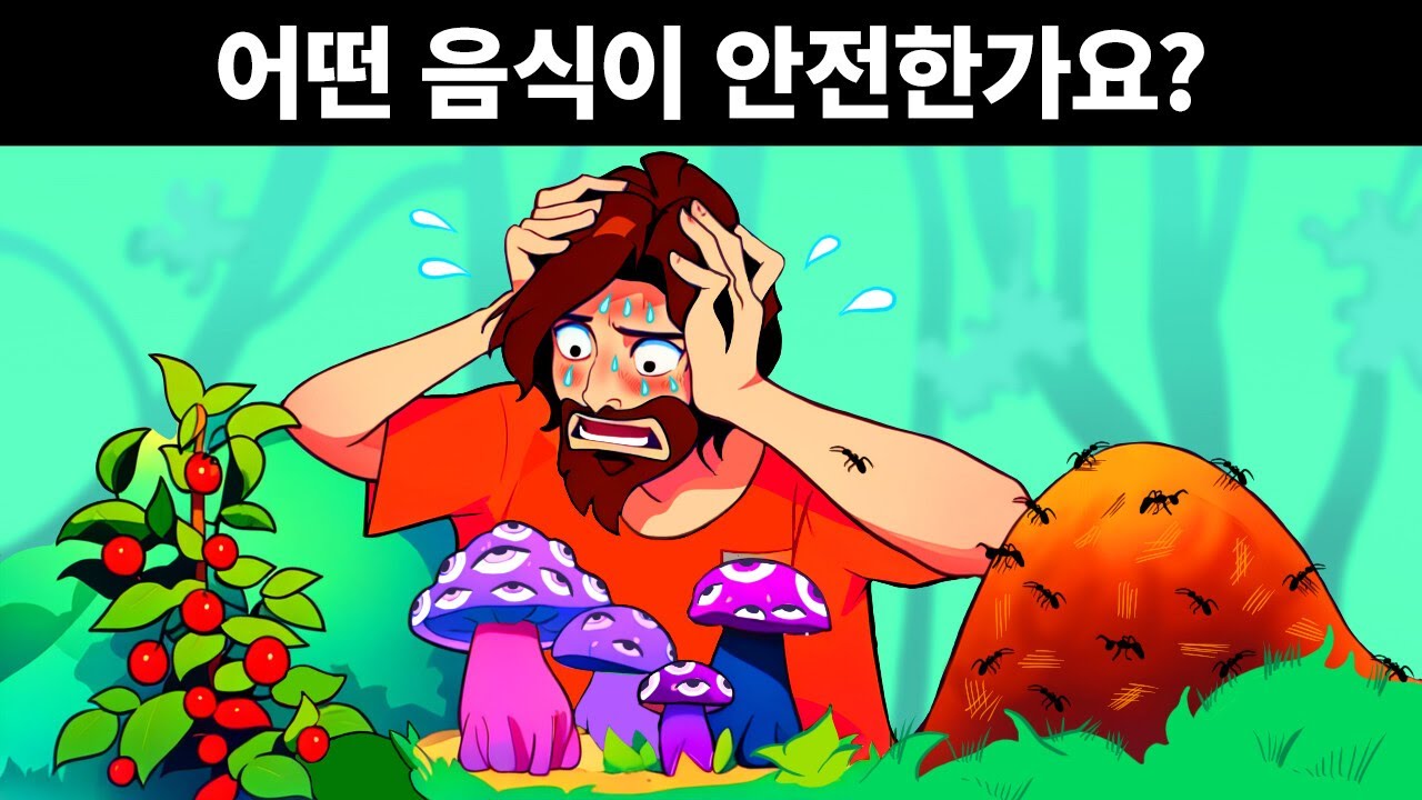 최선을 다해도 풀 수 없는 12가지 브레인 버스터 문제