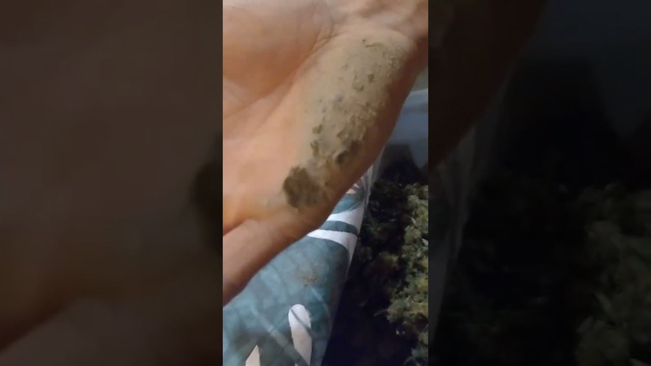 manucure cbd
