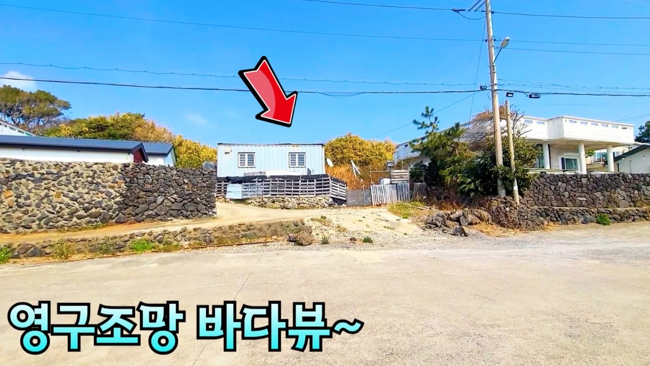 [제주도경매] 도 아니면 모!! 실제현장영상 (2025타경 1472)