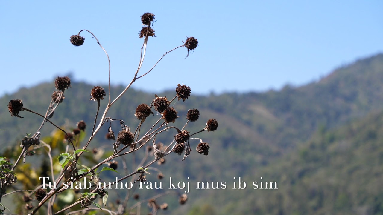 Tu siab nrho rau koj mus ib sim 2/09/2019