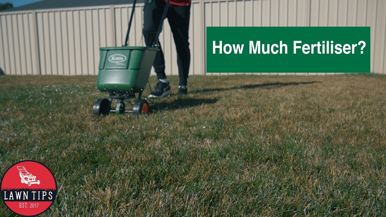 How Much Fertiliser To Put On Your Lawn
