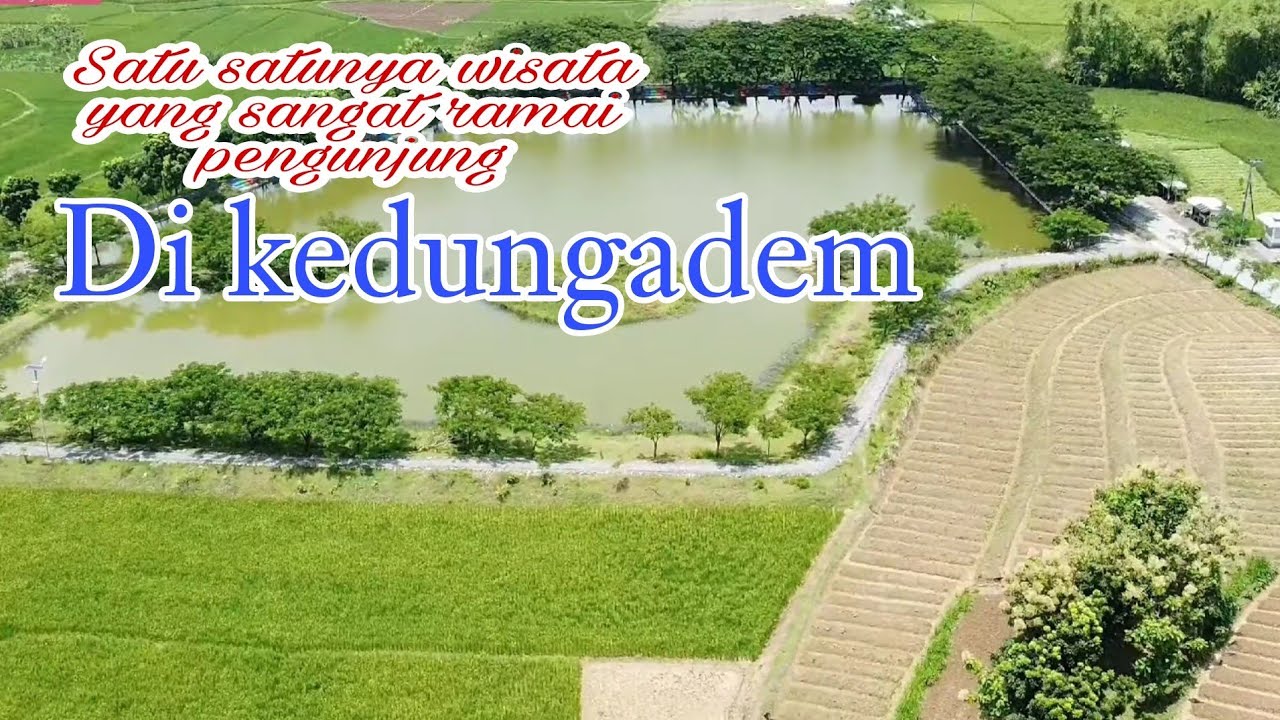 WISATA WADUK KEPOH,waduk pedang,desa kepoh,kec kedungadem.bojonegoro#bojonegoro #waduk #embung.