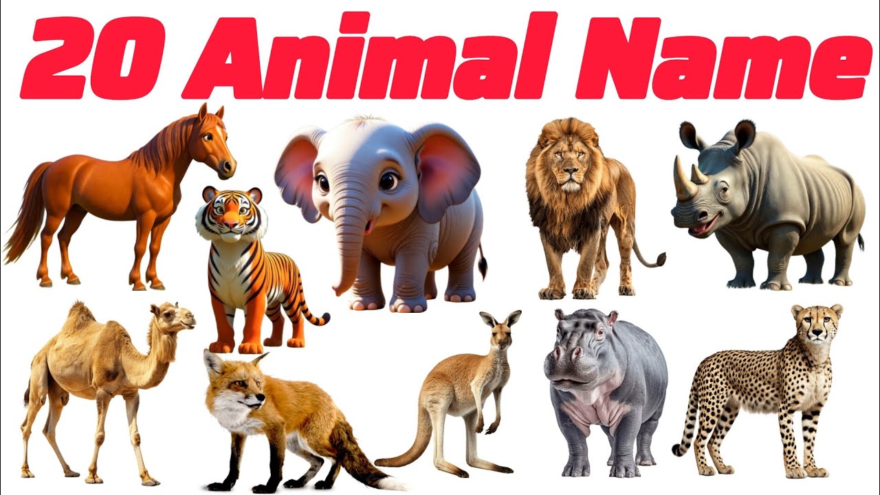 जानवरों के नाम Animal names for kids english vocabulary learning | pre kid knowledge video | Animals