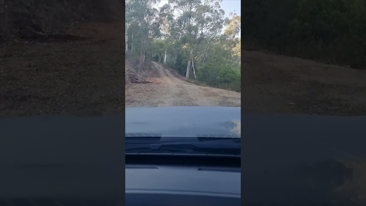 Newmans track . The high country