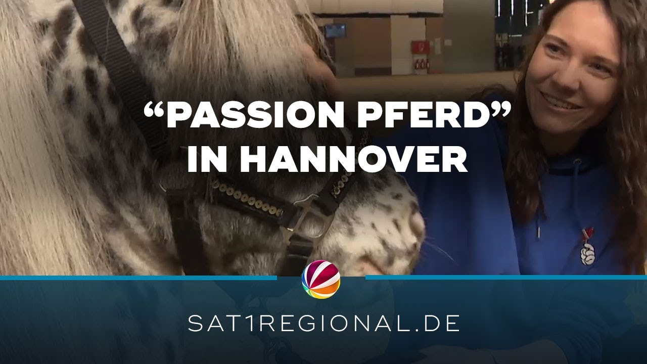 Messe „Passion Pferd“: Das sind die Highlights in Hannover