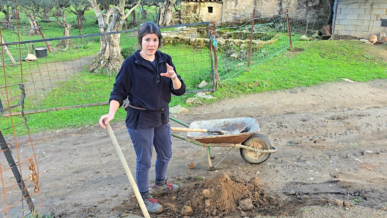 Preparando el gallinero rápidamente para los nuevos inquilinos, tenemos la lluvia encima