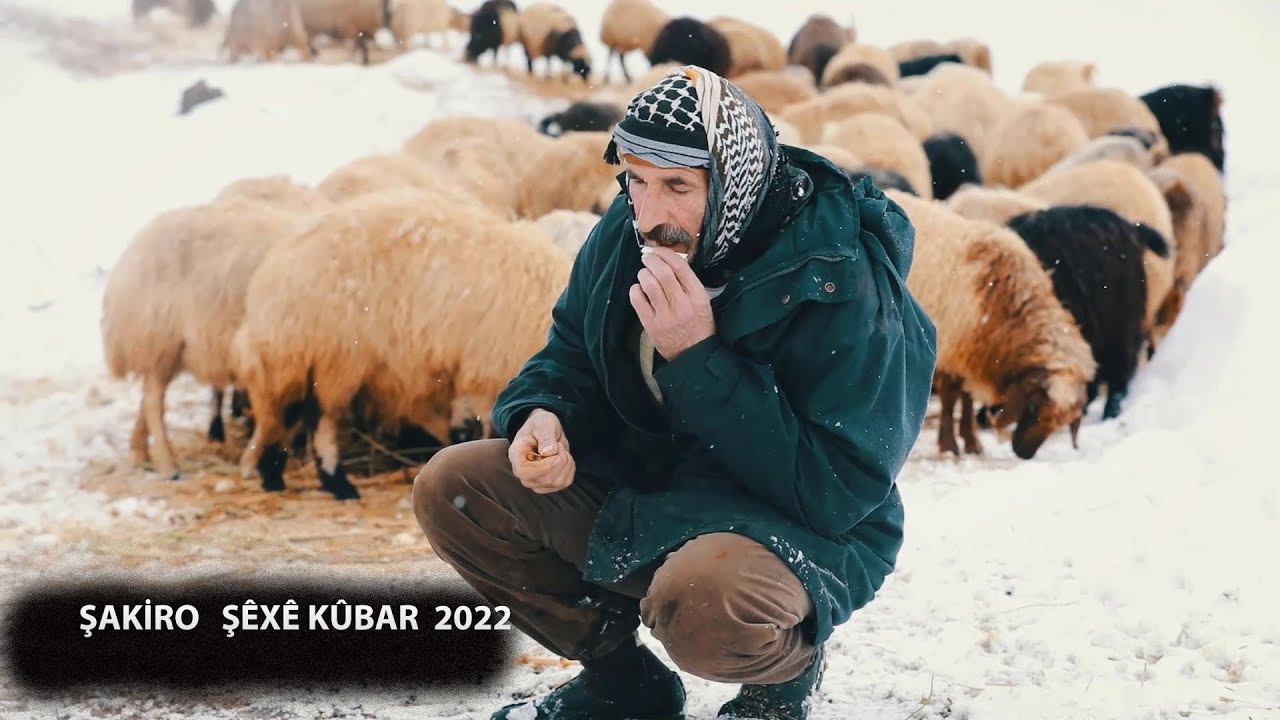 Şakiro  Şêxê Kûbar  NEW - 2022 | Deng Bej Şakiro