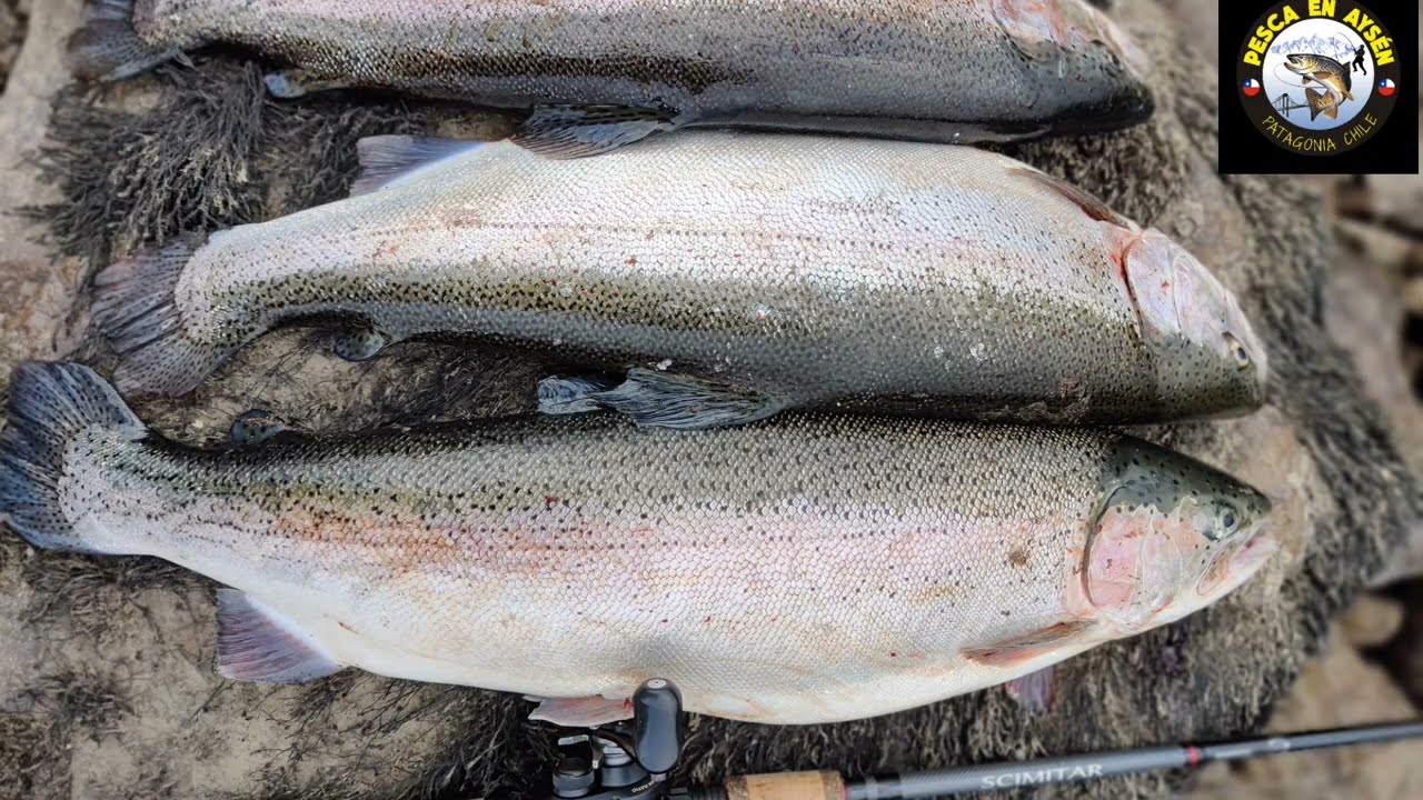 Pesca en Aysén: No pagues de  más en señuelos caros, este señuelo es muy económico y efectivo.😁👍