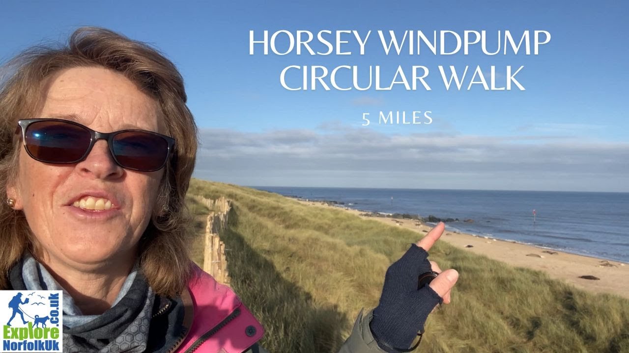 Winter Magic: Seal Spotting & Windpump Walk at Horsey