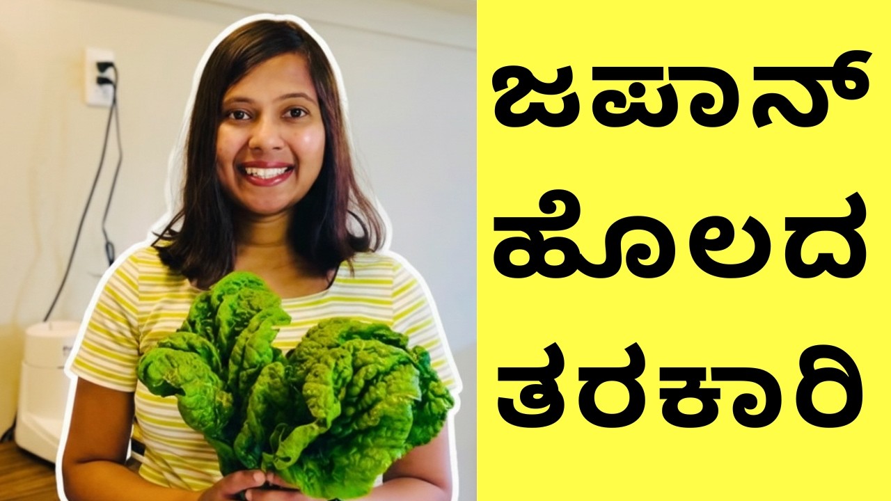 ಜಪಾನಿನ  ಹೊಲದ ತಾಜಾ ತರಕಾರಿ | Fresh Organic Vegetables #kannadavlogs  #japanlife