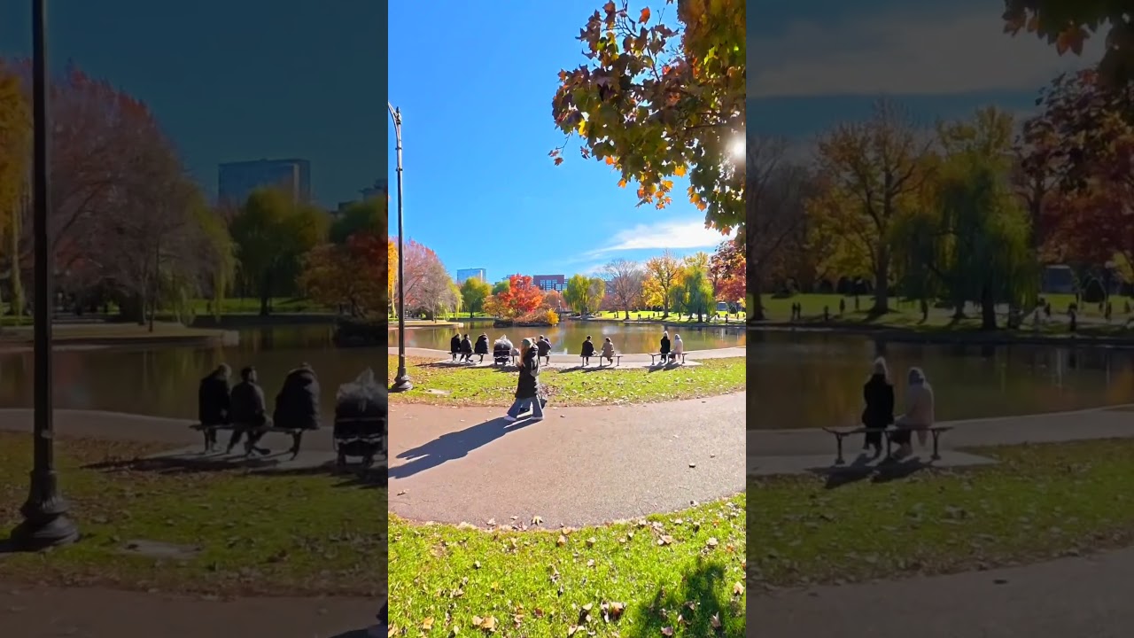 Boston Garden Photography Walk | DJI Osmo 360 | Part 7 of 11