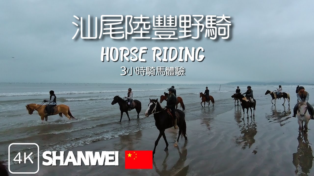 【汕尾市野騎】汕尾市3小時騎馬體驗🏇 穿越樹林草原海灘🏖️ 感受野馬策騎之旅🐎 | 伯樂馬術 | 汕尾野騎 | 汕尾陸豐市 | 野騎體驗 | Shanwei Horse Riding
