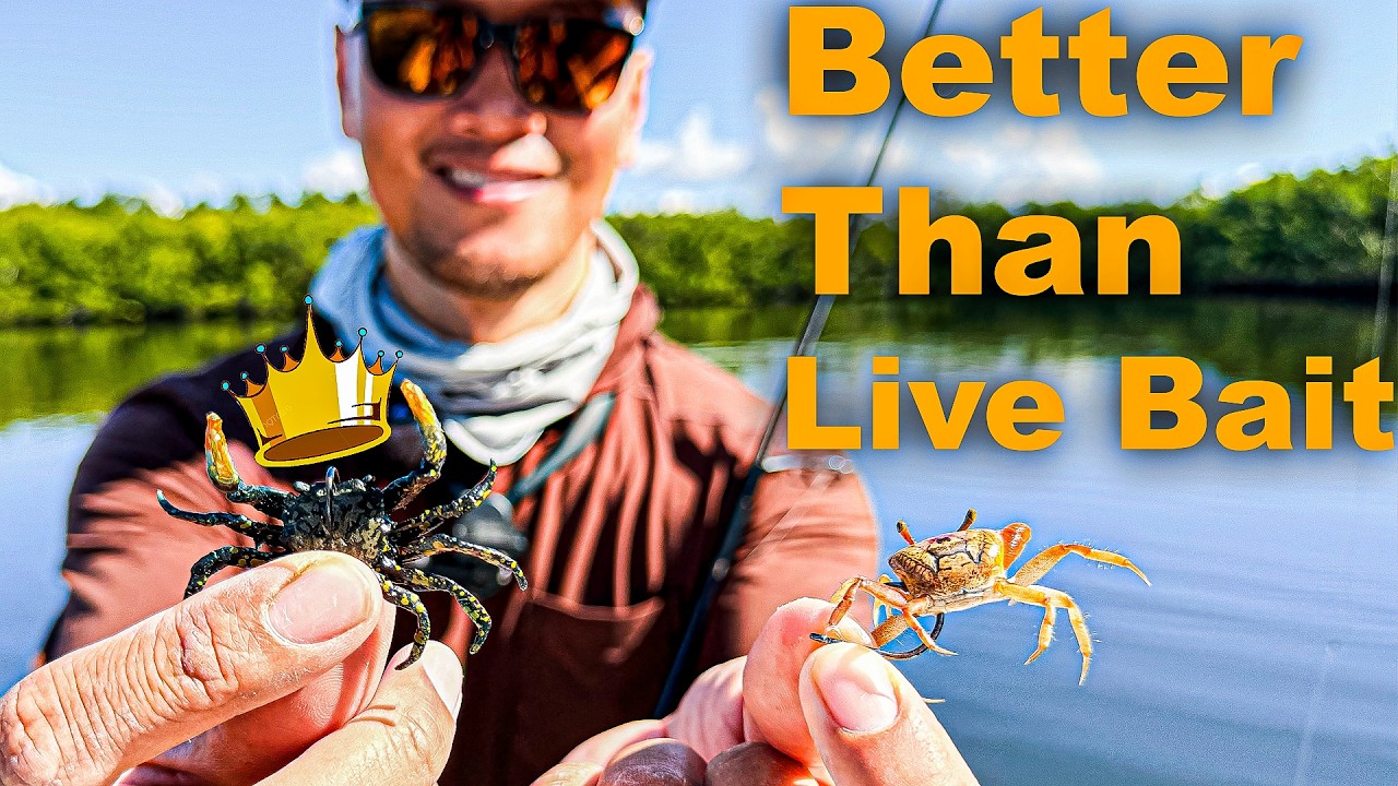 Why Artificial Lures are Out Fishing Live Bait in St Pete Right Now | Catch & Clean