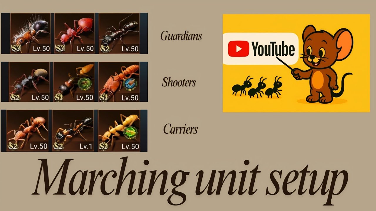 How To Setup The Three Levels of The Ant Marching Unit #theants 