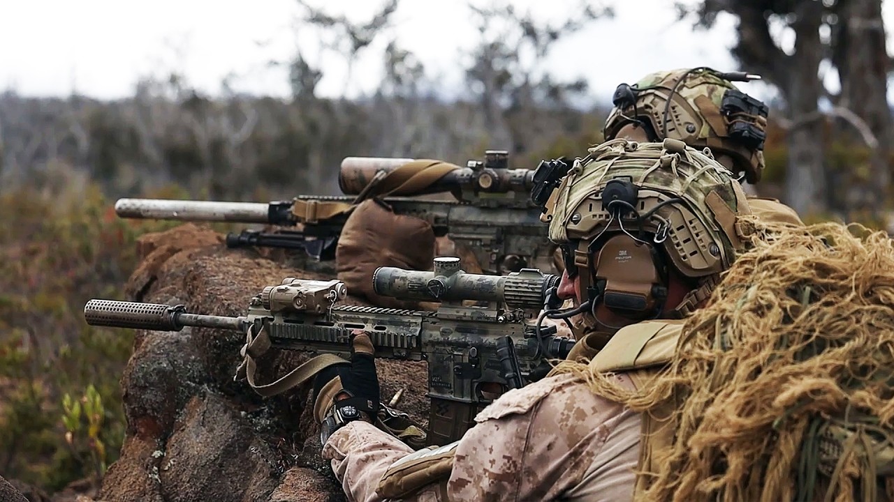 U.S. Marines Conduct Live-Fire Company Attacks (Feb 2026)