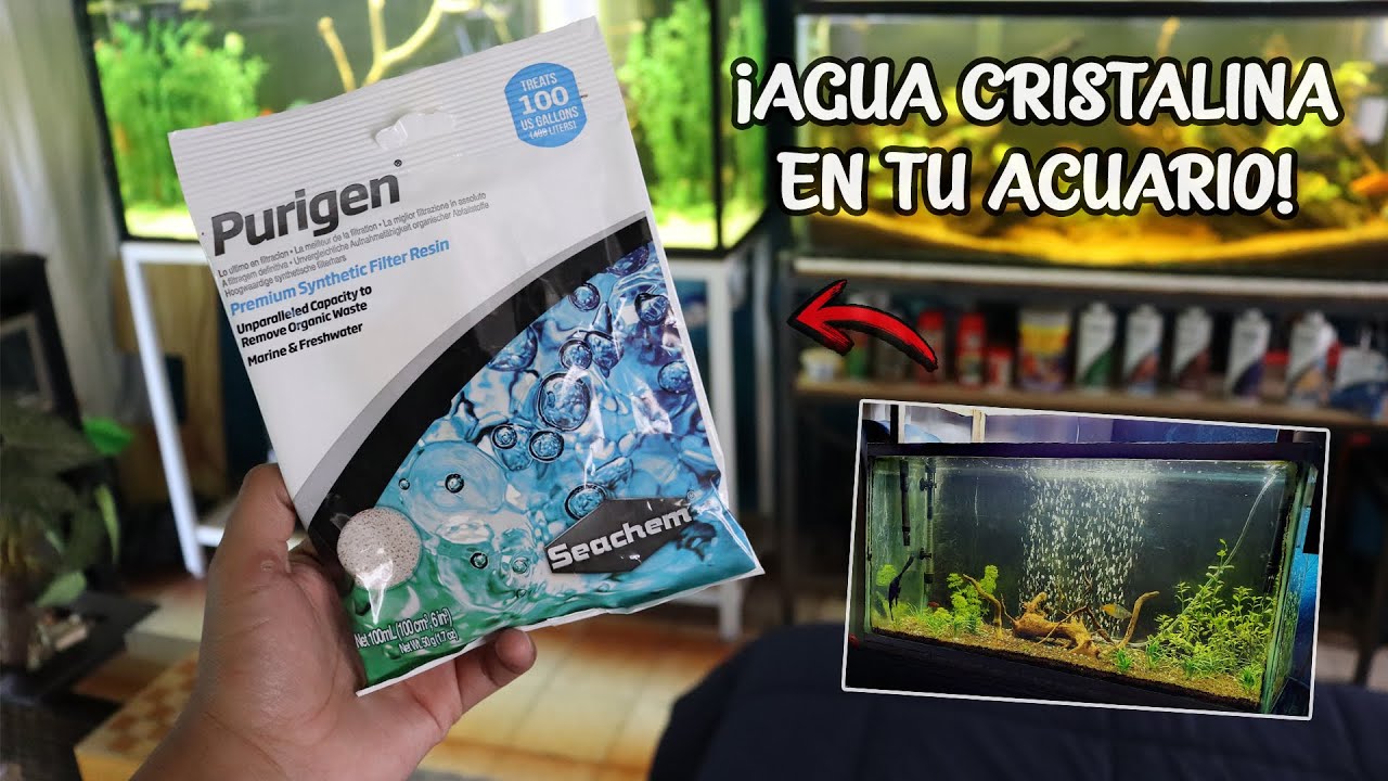 ¡AGUA CRISTALINA EN TU ACUARIO! y quita TANINOS (PURIGEN) | AcuariosLP