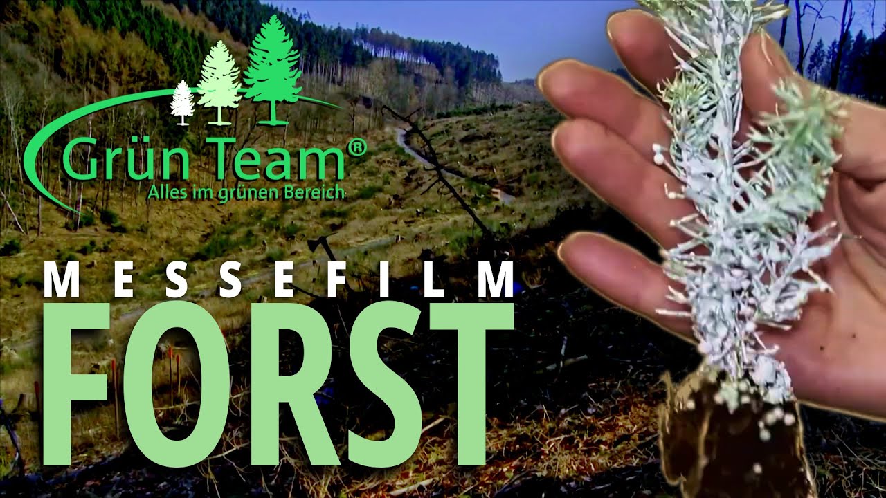 Grün Team - Messefilm Forst