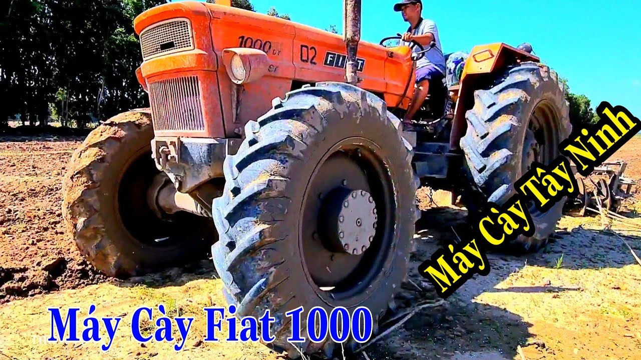 Máy Cày Fiat 1000 Khủng Long ở Lòng Hồ Dầu Tiếng Tây Ninh Cày Đất Trồng Mì
