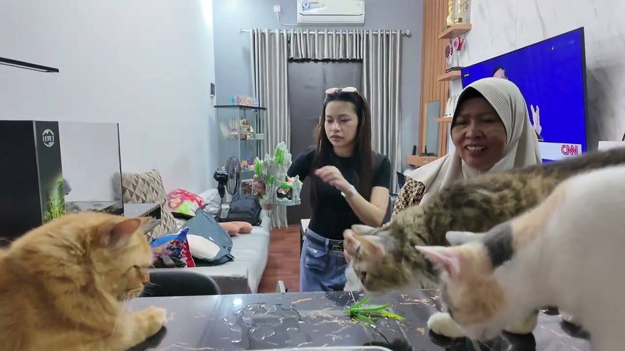 Pulang Dari Makassar Lady Rara Langsung Nguras KOLAM | Jam 2 PAGI Nguras KOLAM Atau Nguras EMOSI?