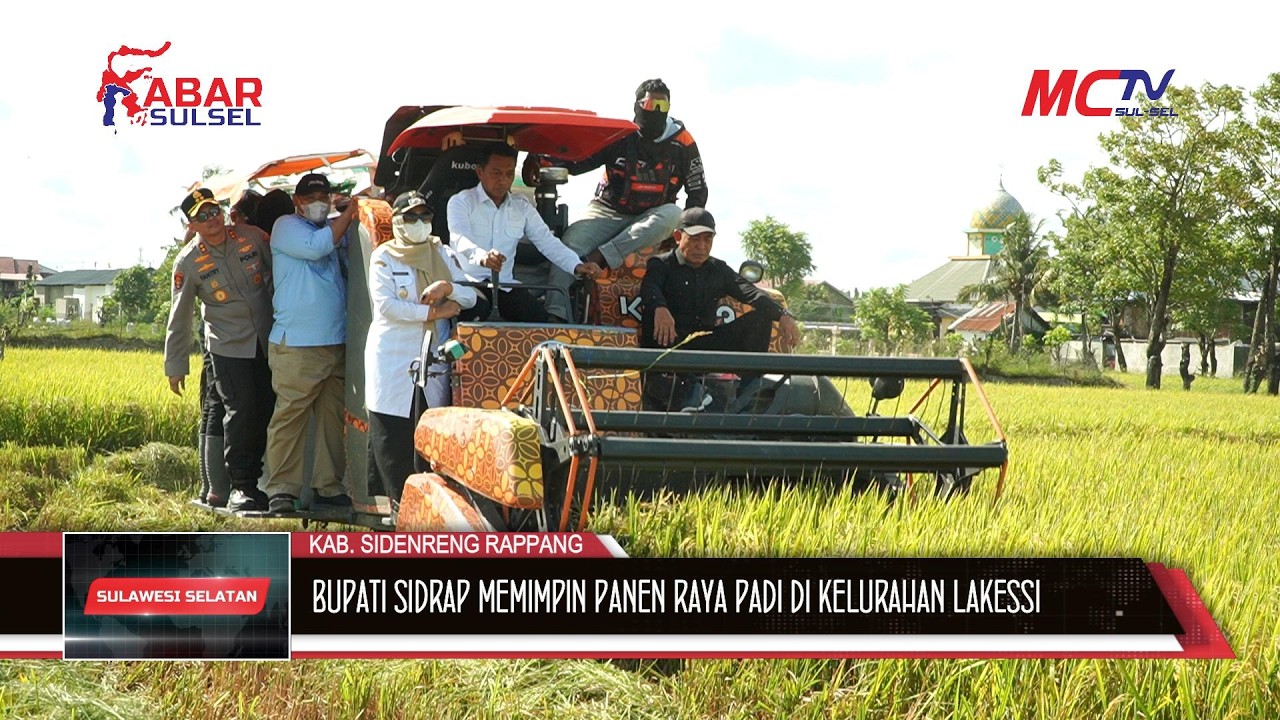 SAWAH LAKESSI HASILKAN 9 - 10 TON PER HEKTARE, SIDRAP PERKUAT PREDIKAT LUMBUNG PANGAN