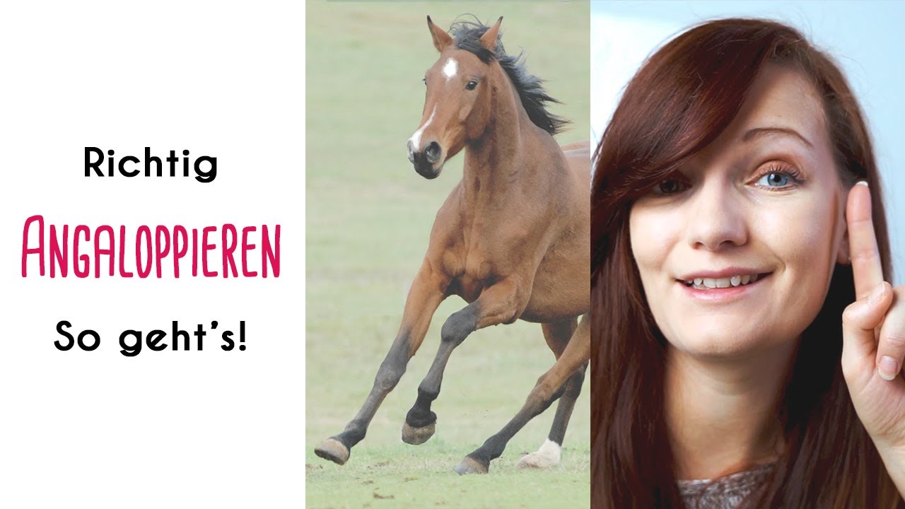 Pferd angaloppieren: So geht's richtig & die häufigsten Fehler!