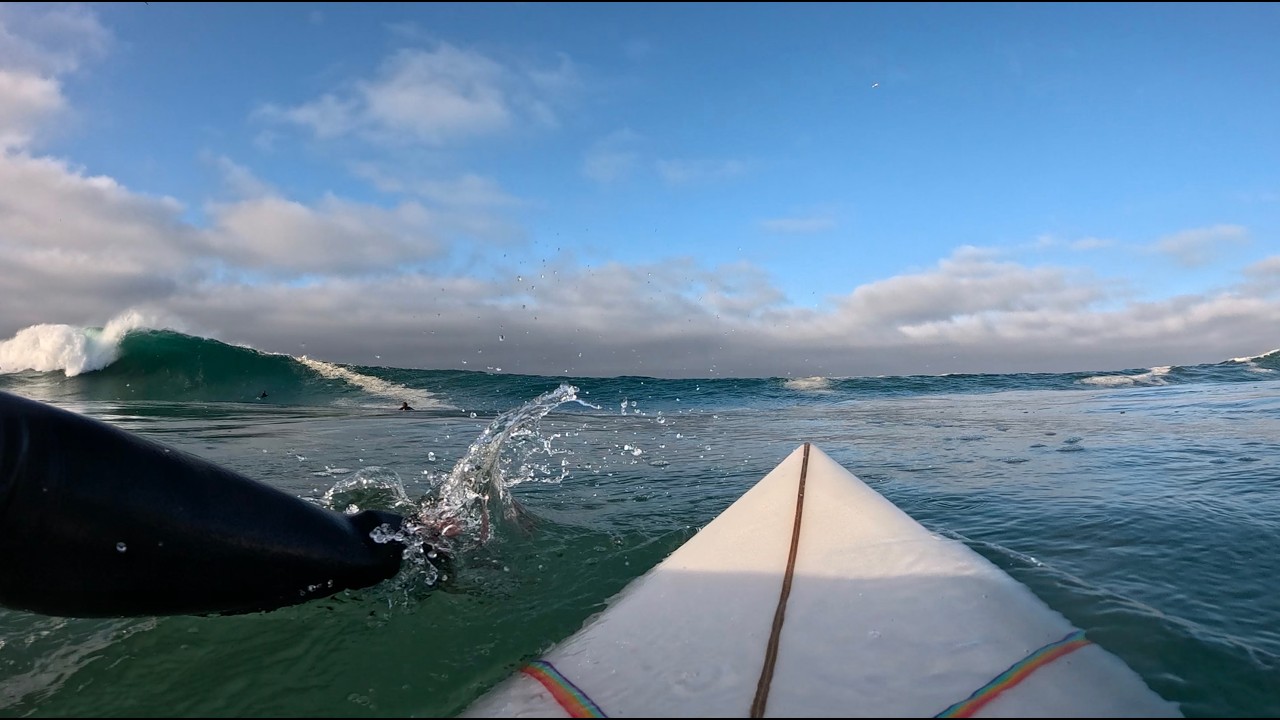 What its like surfing The Wedge