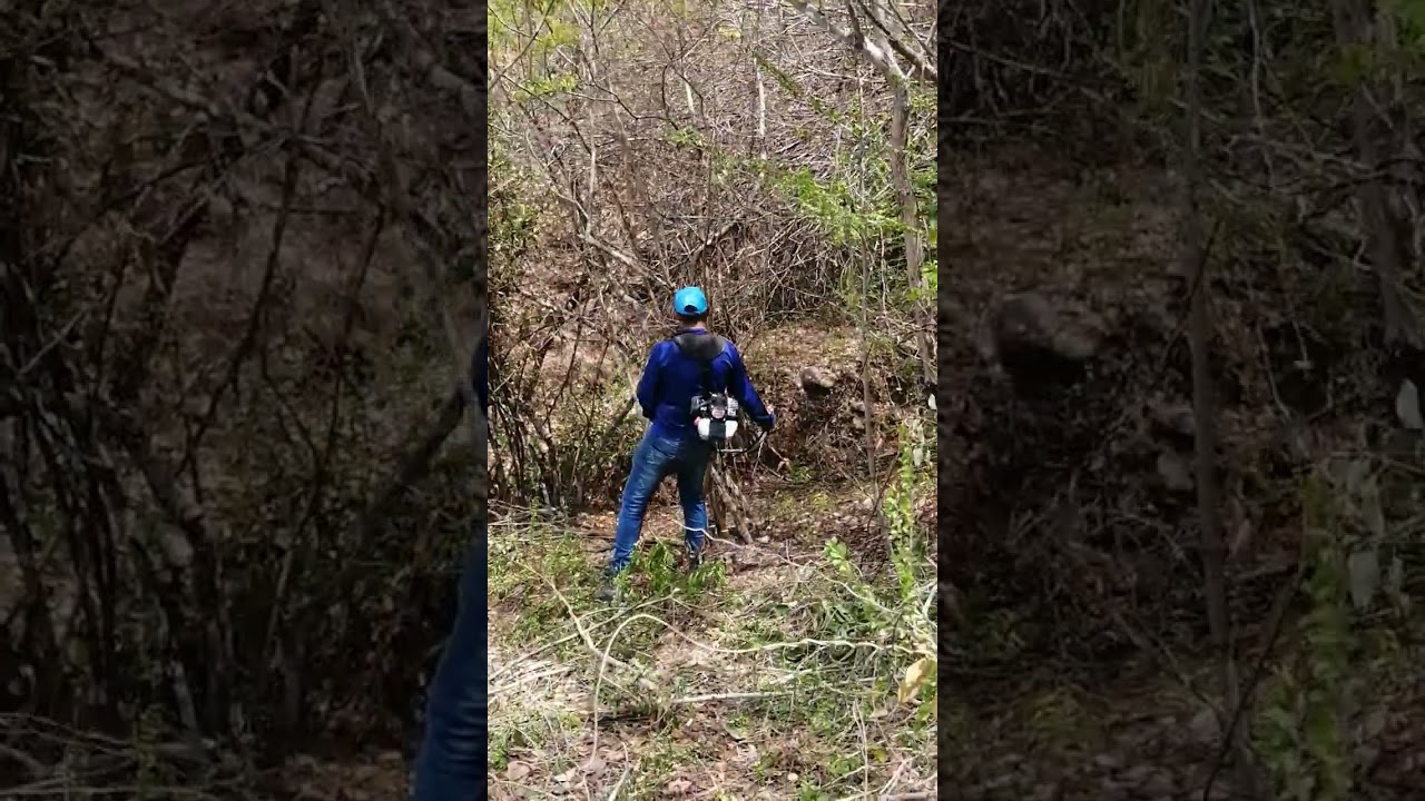 Disco de corte con diente de motosierra para guadaña.