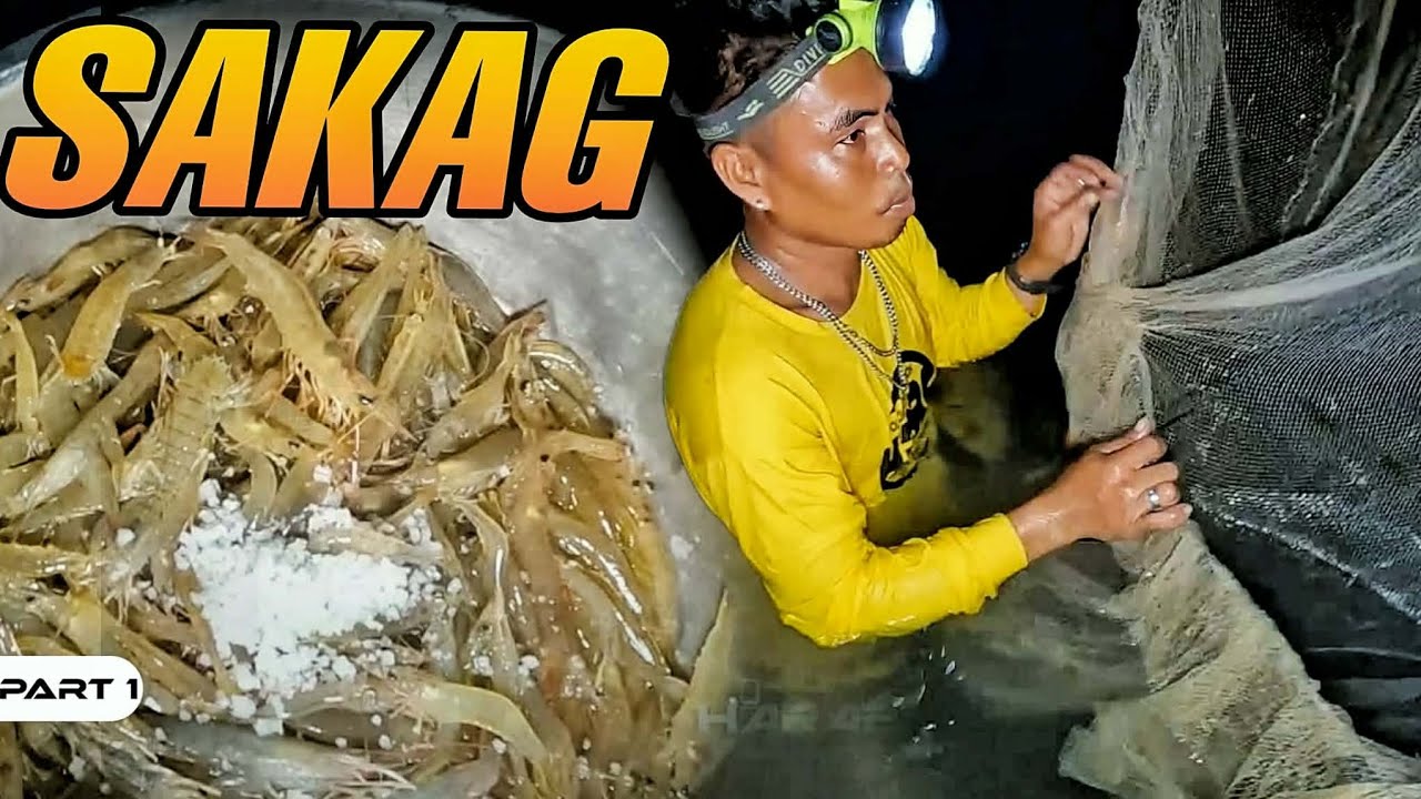 P1 - SAKAG