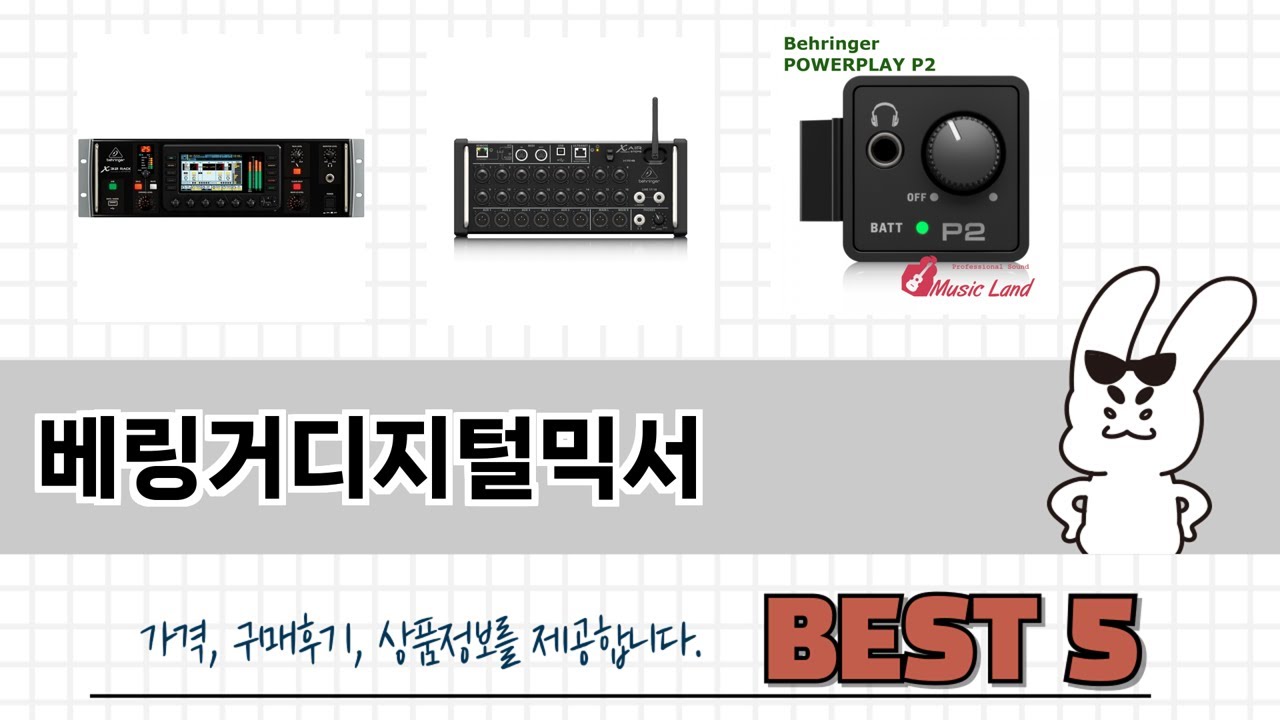 리뷰가 많은 베링거디지털믹서 추천 리스트 5선