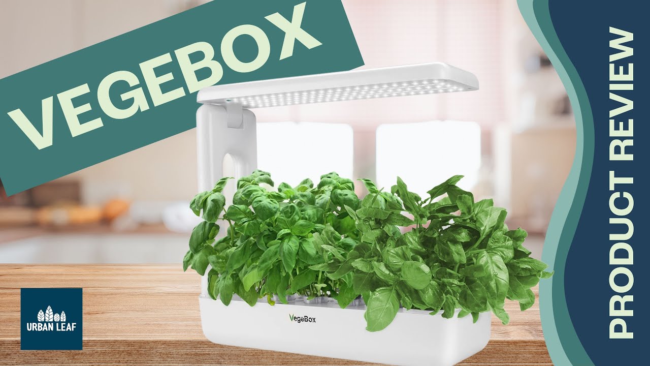 Vegebox Unboxing and Review | 12 Pod Hydroponic Growing System
