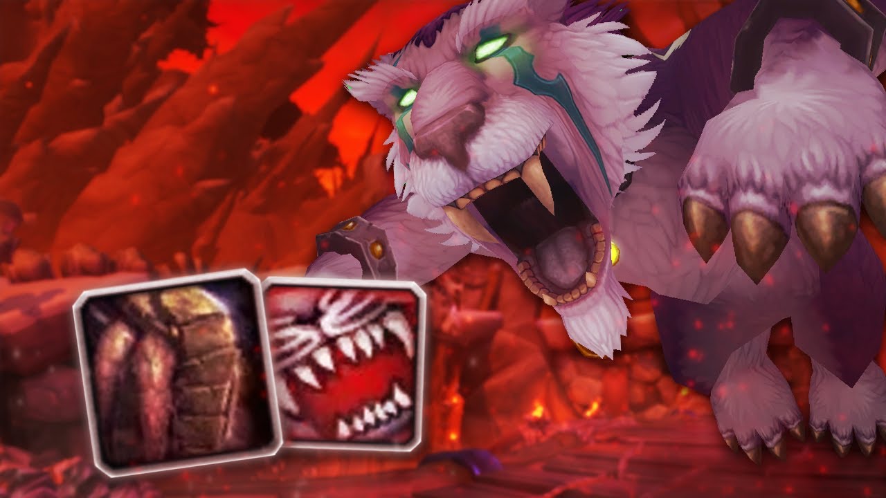 I'M BACK!!! - Feral Druid 2v2 ft. Survival Hunter [World of Warcraft: BfA 8.3 Feral PvP]
