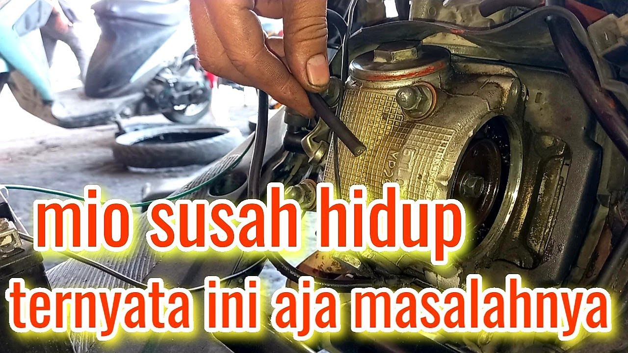 Mio susah hidup|ini penyebabnya