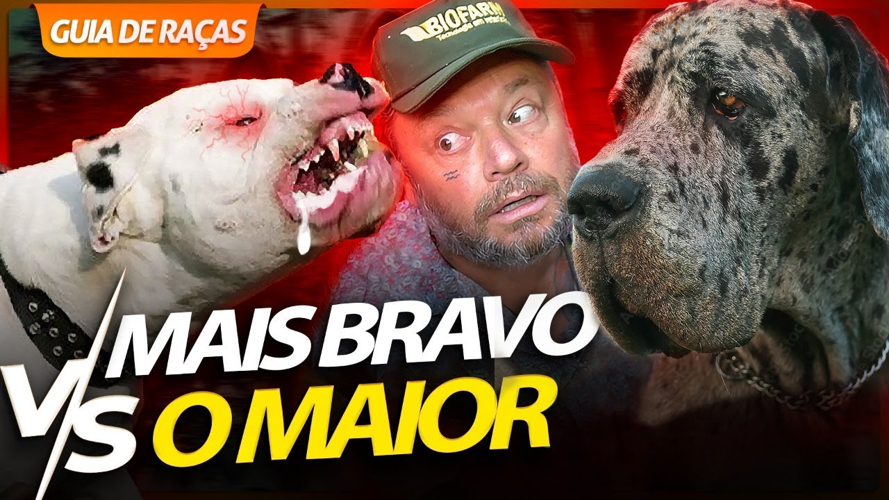 DOGO ARGENTINO E DOGUE ALEMÃO, O MAIOR CONTRA O MAIS BRAVO? | RICHARD RASMUSSEN