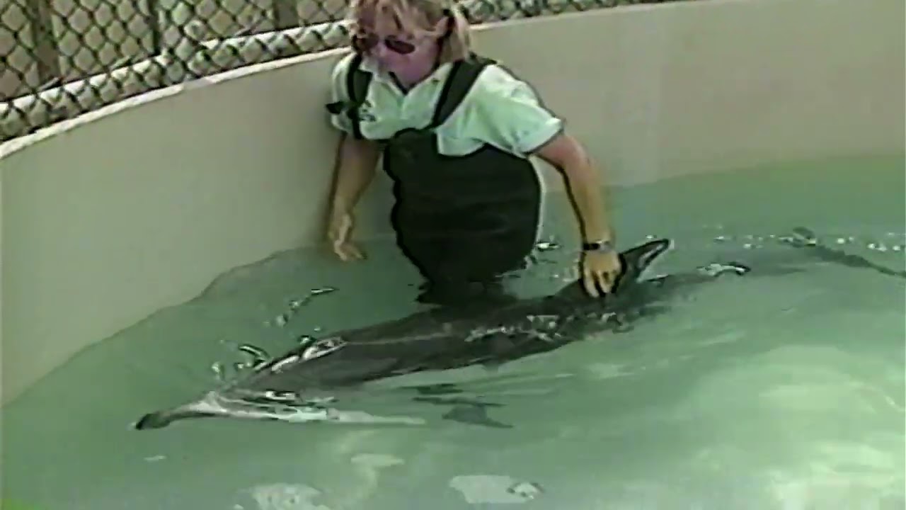 The Story of J.J - SeaWorld San Diego - 9/10/1997