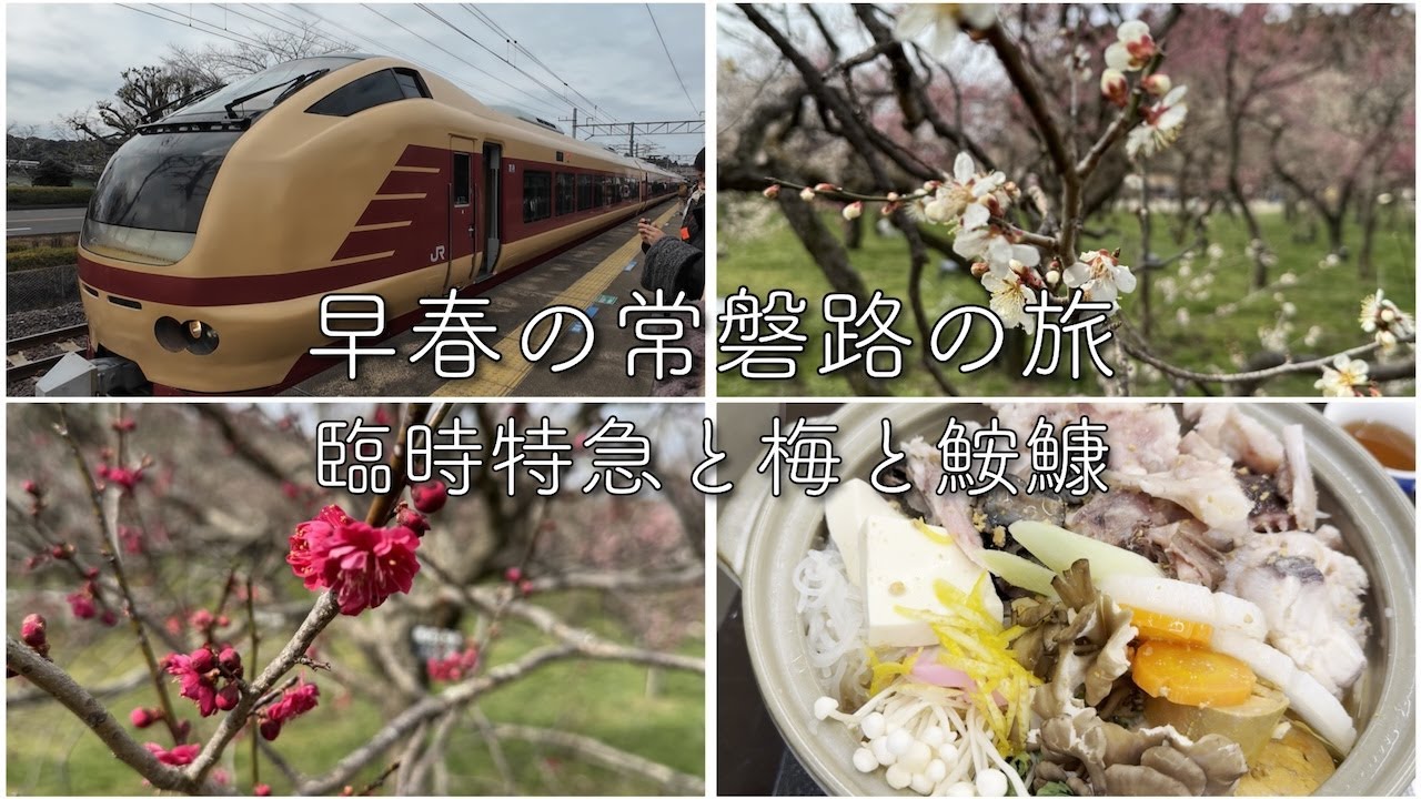 【国内旅行】早春の常磐路 水戸偕楽園のうめまつりとお魚市場であんこう鍋堪能 20250308