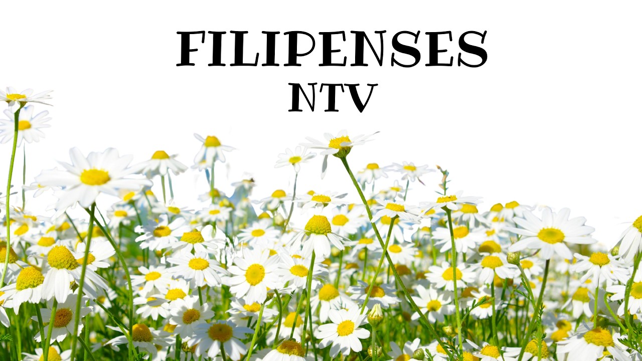 Filipenses NTV  27 febrero 2026