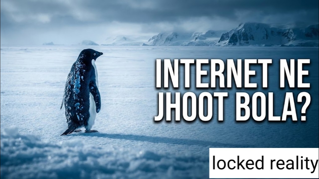 The Truth Behind Viral Penguin – Kahani Ya Ghalat Fehmi?
