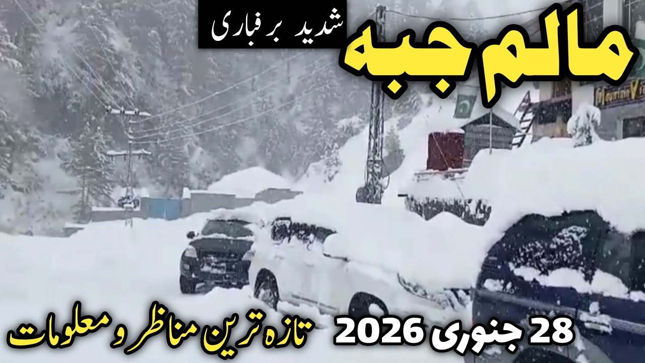 #swat Kalam live today | #malamjaba snowfall today | #snow malamjaba | malam jabba road conditions