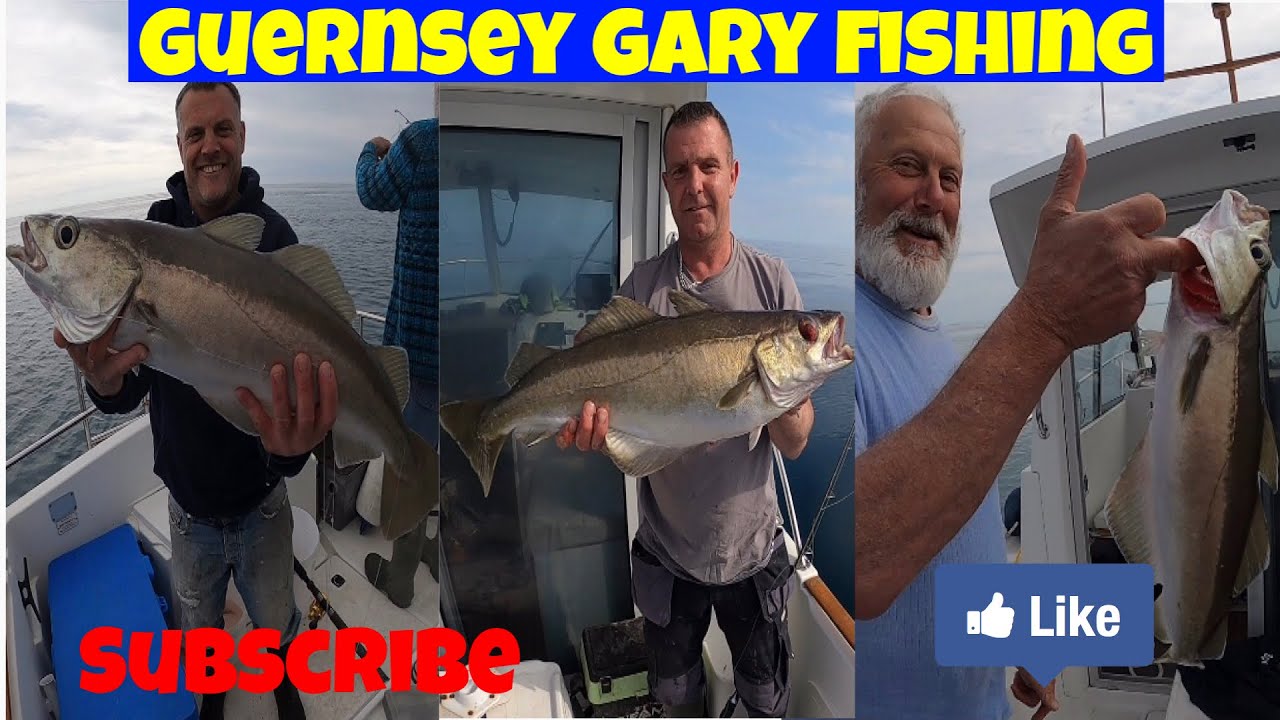 Wreck fishing for pollock in Guernsey Channel Islands
