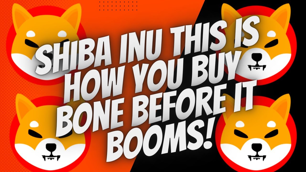 Shiba Inu Here Is Step By Step To Buying Bone Token Before It Explodes Again
