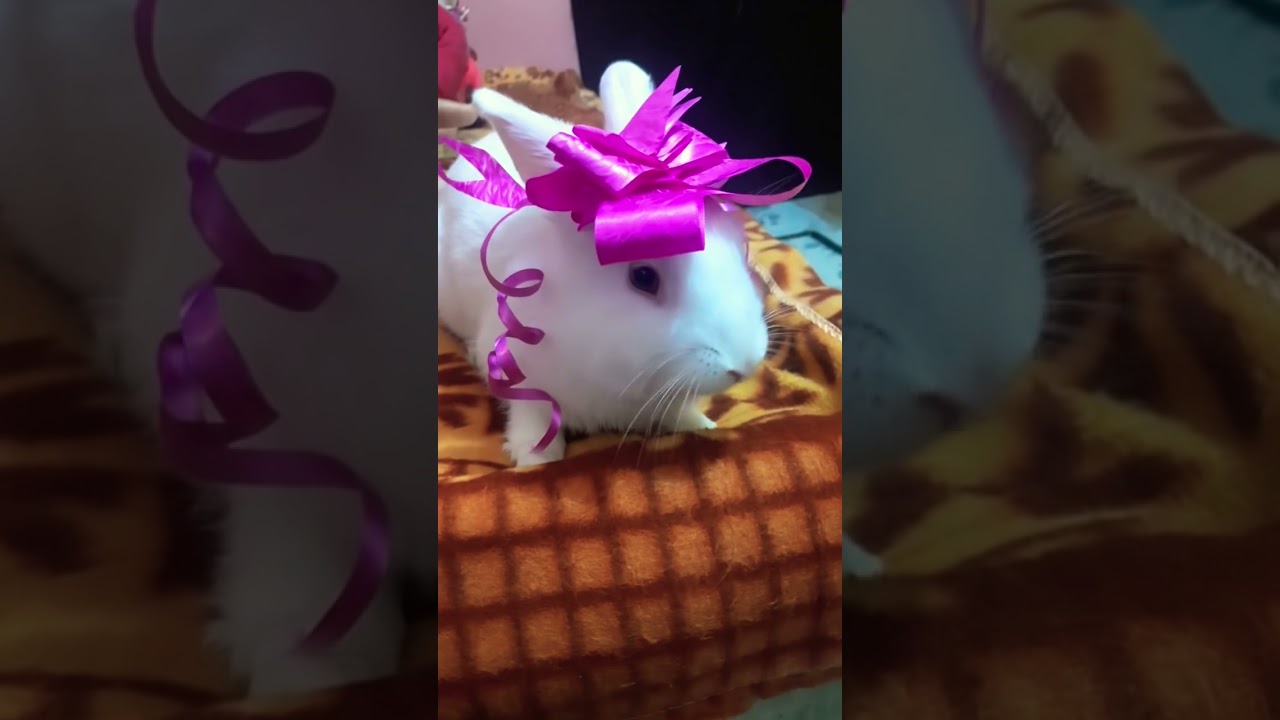 it's my first video. Please like share and subscribe my channel. 