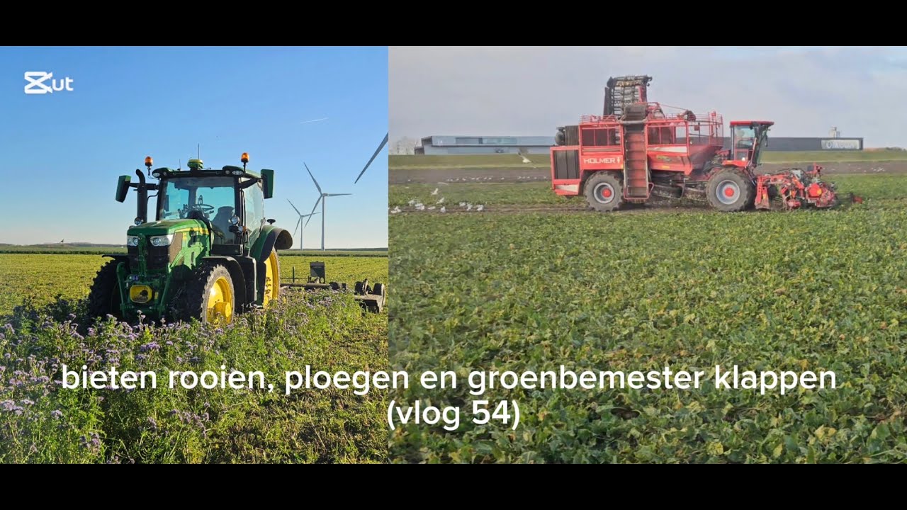 bieten rooien, ploegen en groenbemester klappen (vlog 54)