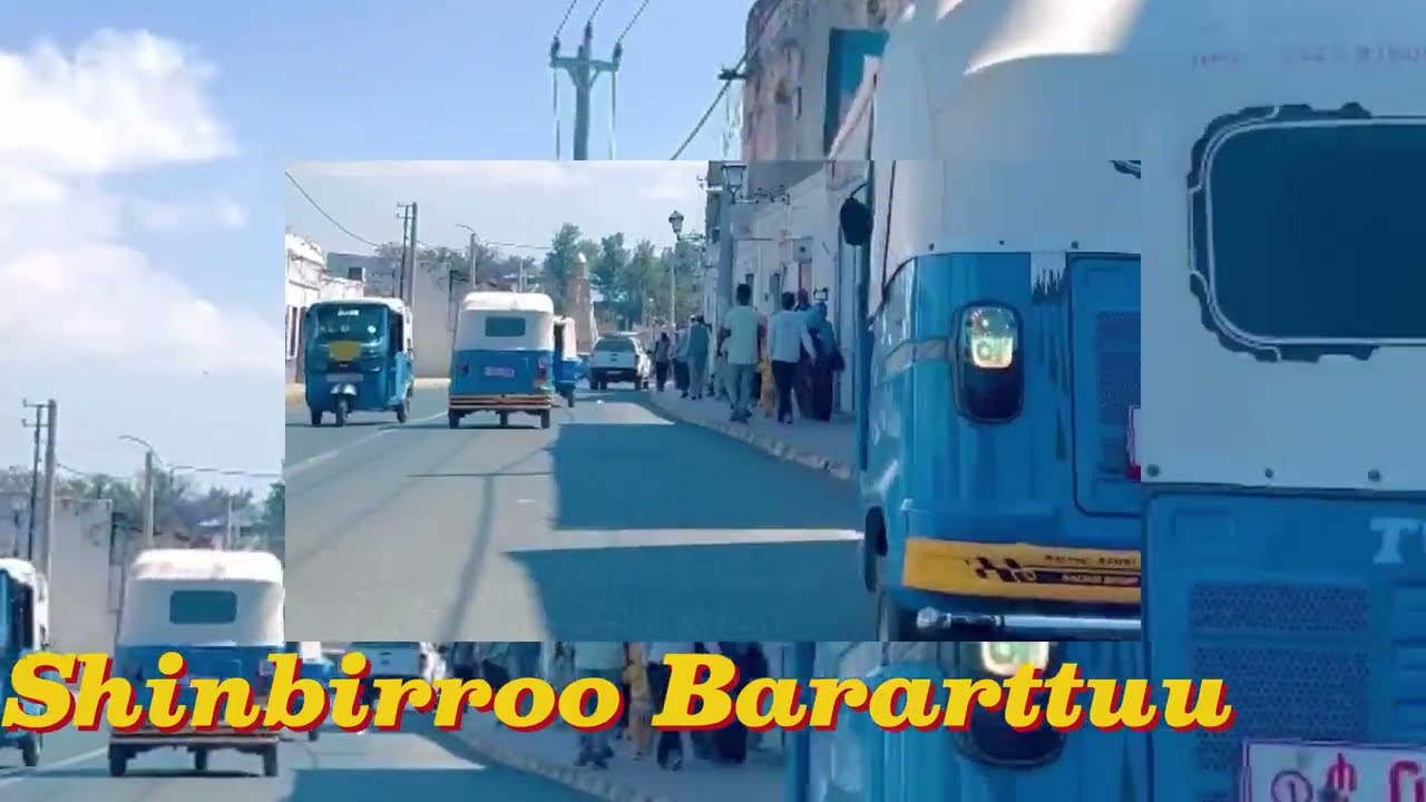 Ibsaa Galamso_- Shaggee_-Wallee Gitaaraa Adaree Biyyoo #hararcity